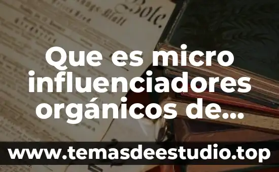 Que es micro influenciadores orgánicos de nicho