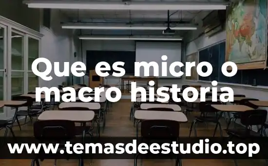Que es un sistema macro y micro 8 Que es micro o macro historia