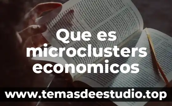 Que es patrimonio en bienes economicos 3 Que es microclusters economicos