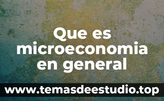 Que es microeconomia en general