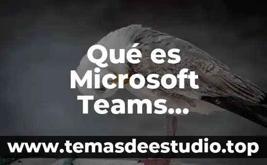 Símbolo de carro que es una W con puntas 7 Qué es Microsoft Teams Educación