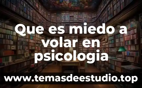 En psicología que es la conciencia 7 Que es miedo a volar en psicologia