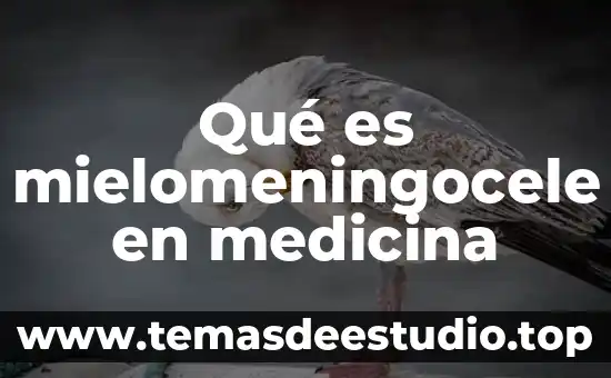Qué es mielomeningocele en medicina