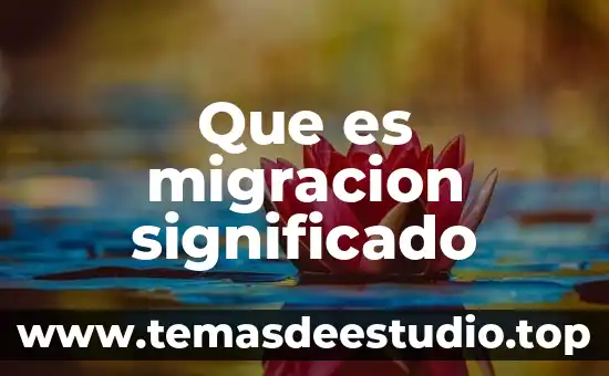 Que es la migracion y sus caracteristicas 3 Que es migracion significado