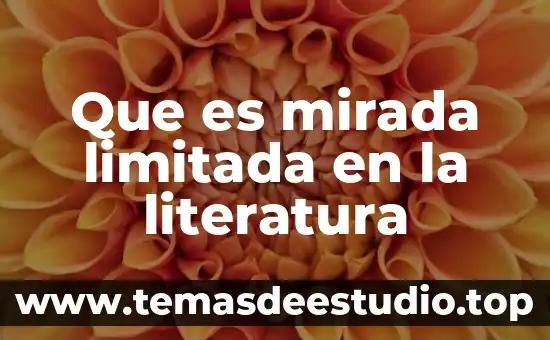 Qué es una sociedad civil de responsabilidad limitada 8 Que es mirada limitada en la literatura