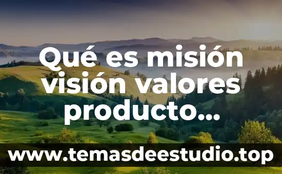 Descripción de que es una persona moral 5 Qué es misión visión valores producto descripción
