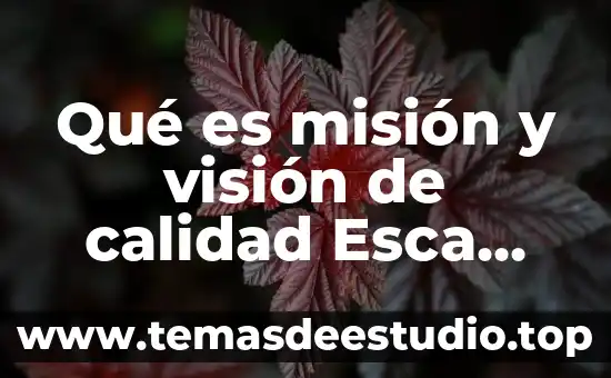 Para Santo Tomás qué es el concepto de la felicidad 7 Qué es misión y visión de calidad Esca Santo Tomás