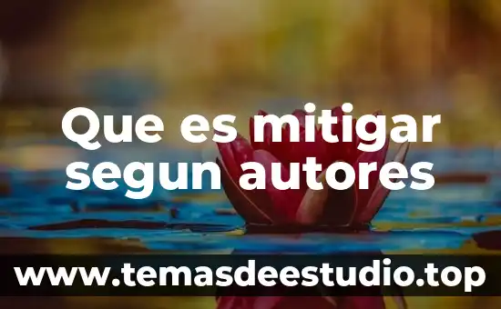 Que es mitigar segun autores