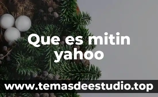 Que es mitin yahoo