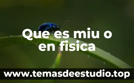 Que es supervisor de planta 7 Que es miu o en fisica