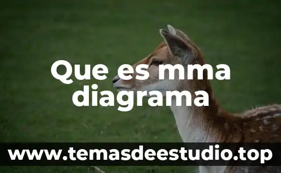 Que es diagrama de arquitectura de procesos 3 Que es mma diagrama