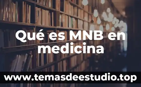 Qué es el espesor IM en medicina 5 Qué es MNB en medicina