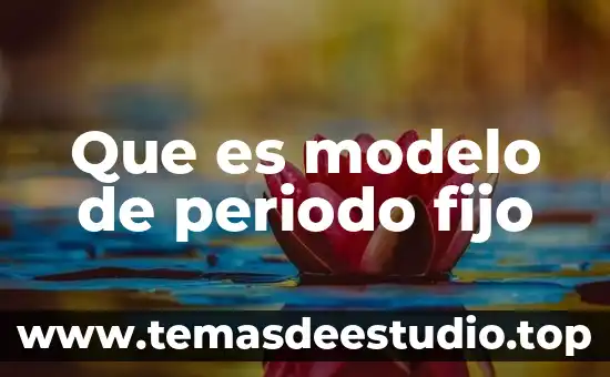 Que es un modelo panoptico siglo xix 5 Que es modelo de periodo fijo