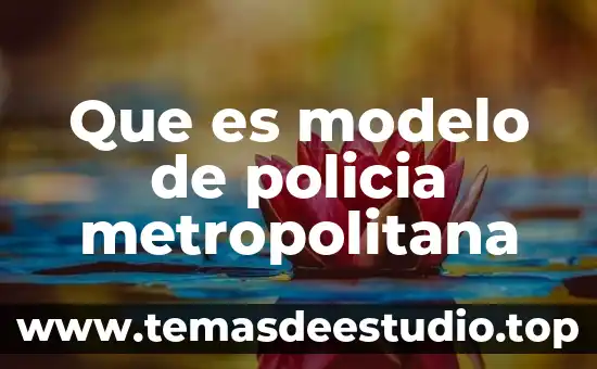 Que es modelo de policia metropolitana