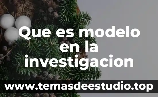 Que es modelo en la investigacion