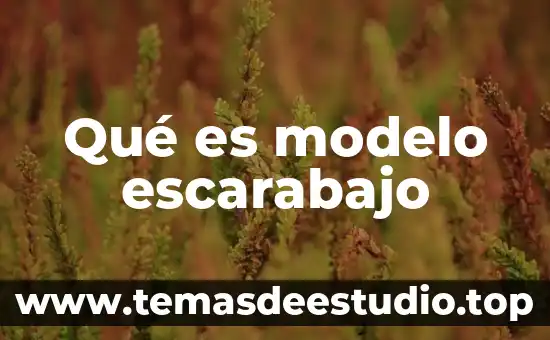 Que es el lenguaje y cultura 6 QuƩ es modelo escarabajo