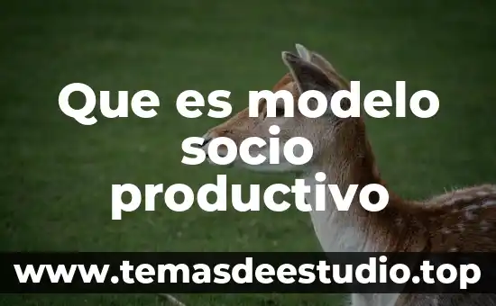 Que es un modelo educativo redalyc 4 Que es modelo socio productivo