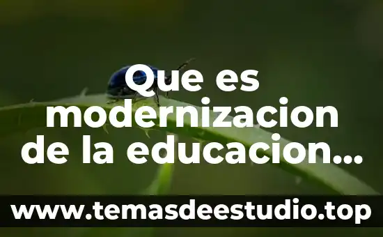 Que es habilidad en educacion fisica significado 5 Que es modernizacion de la educacion basica