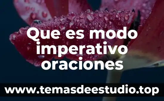 Que es el movimiento de los 45 5 Que es modo imperativo oraciones