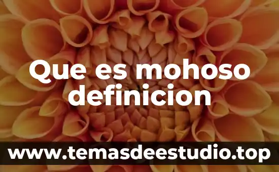Qué es un huerto escolar definición 8 Que es mohoso definicion