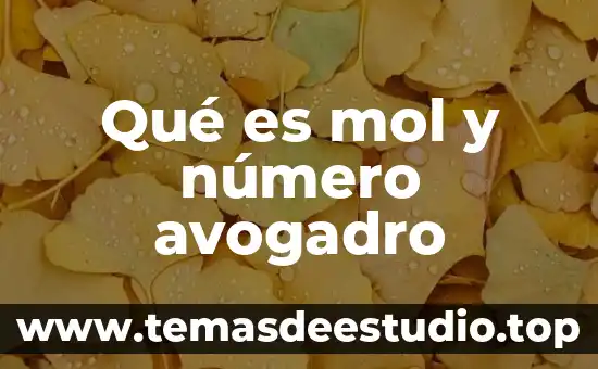 Que es un numero juliano 4 Qué es mol y número avogadro