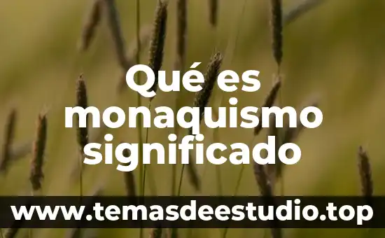 Que es escala microscopica significado 3 Qué es monaquismo significado