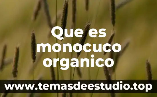 Que es compuesto organico volatil 3 Que es monocuco organico