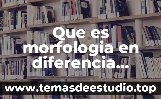 Qué es la arquitectura celular 6 Que es morfologia en diferencia celular