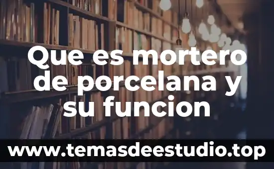 Que es un texto argumentativo y su funcion 6 Que es mortero de porcelana y su funcion