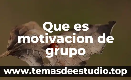 Que es el grupo geo 6 Que es motivacion de grupo