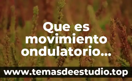 Qué es el movimiento ondulatorio concepto en física 6 Que es movimiento ondulatorio transversal en fisica