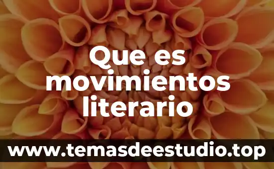 Que es la subjetividad del ensayo literario 5 Que es movimientos literario