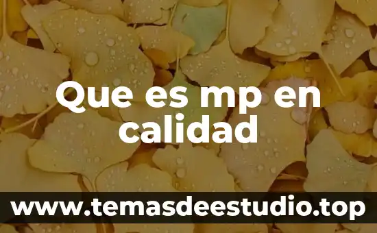 Que es mp en calidad