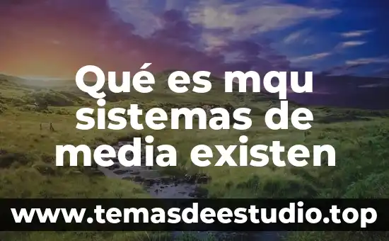 Qué es un fork en sistemas operativos 3 Qué es mqu sistemas de media existen