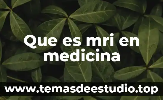 Qué es el espesor IM en medicina 6 Que es mri en medicina