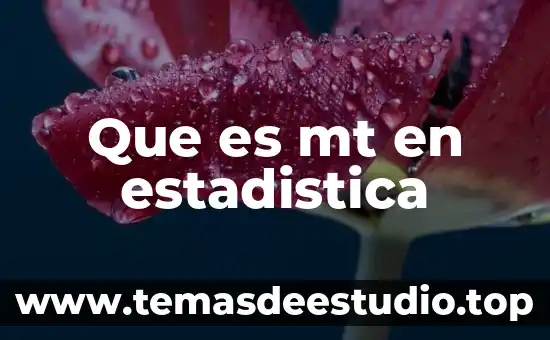 Qué es el factorial de un número en estadística 4 Que es mt en estadistica