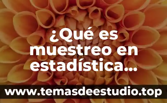 Que es el muestreo de la media muestral 7 ¿Qué es muestreo en estadística inferencial?