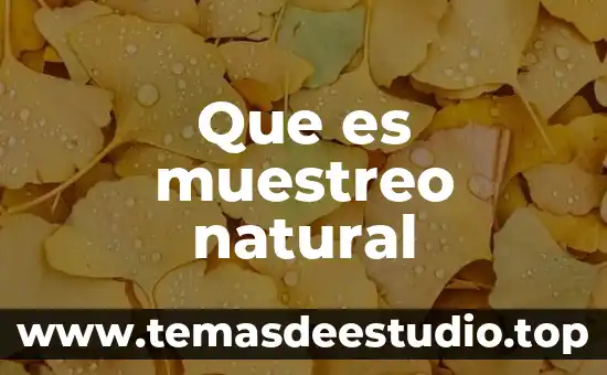 Que es la distribucion de muestreo de la media 4 Que es muestreo natural
