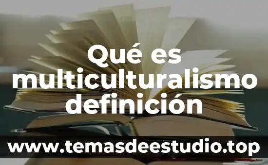 Qué es la amnistía internacional definición 8 Qué es multiculturalismo definición