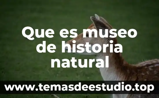 Que es museo de historia natural