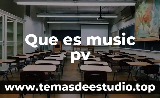 Que es music pv