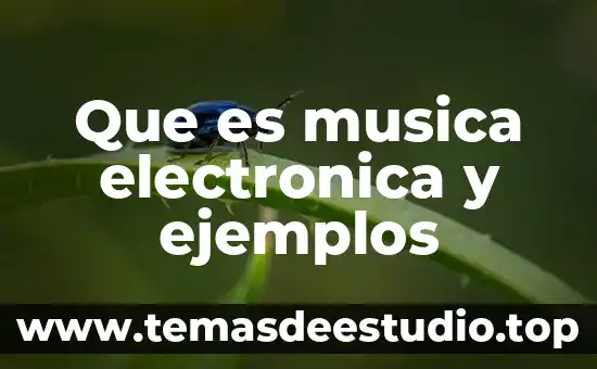 Que es la fiel firma electronica 8 Que es musica electronica y ejemplos
