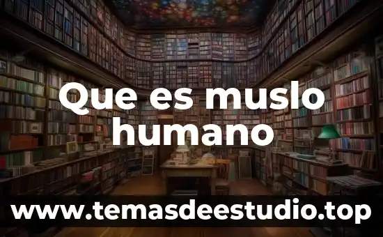 Decir que es un gran ser humano carta 6 Que es muslo humano