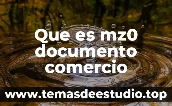 Qué es un documento as is 4 Que es mz0 documento comercio