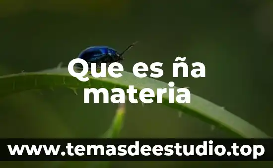 Que es ña materia