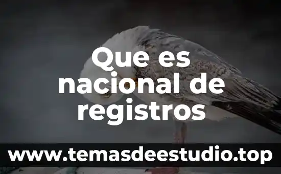 Para el dengue que es bueno tomar 7 Que es nacional de registros