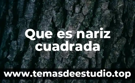 Piramide que es cuadrada de abajo y de arriba 3 Que es nariz cuadrada