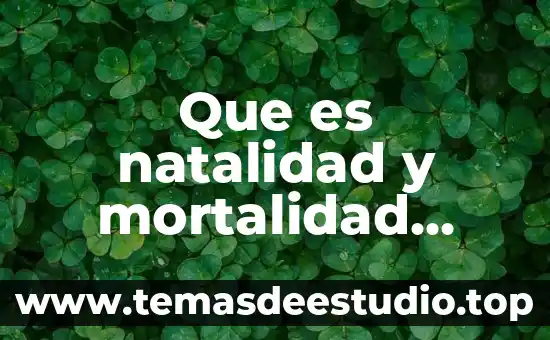 Qué es el índice de natalidad y mortalidad 6 Que es natalidad y mortalidad yahoo