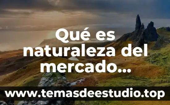 Que es delimitar el mercado 6 Qué es naturaleza del mercado financiero