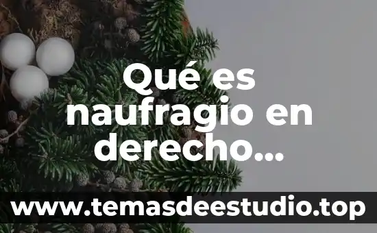 Que es la administracion de transporte maritimo 5 Qué es naufragio en derecho marítimo